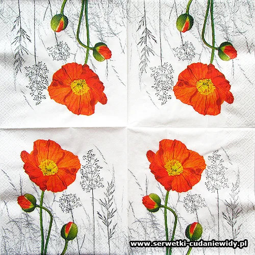 6529 Orange Poppy