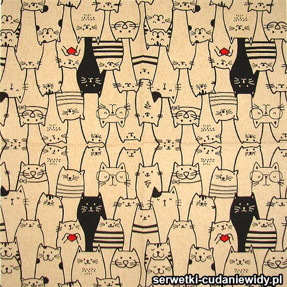 6531 Wesołe Eko Koty