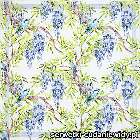 6533 Ptaszki I Niebieska Wisteria