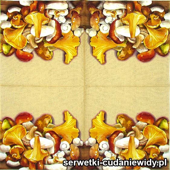 6537 Grzybobranie