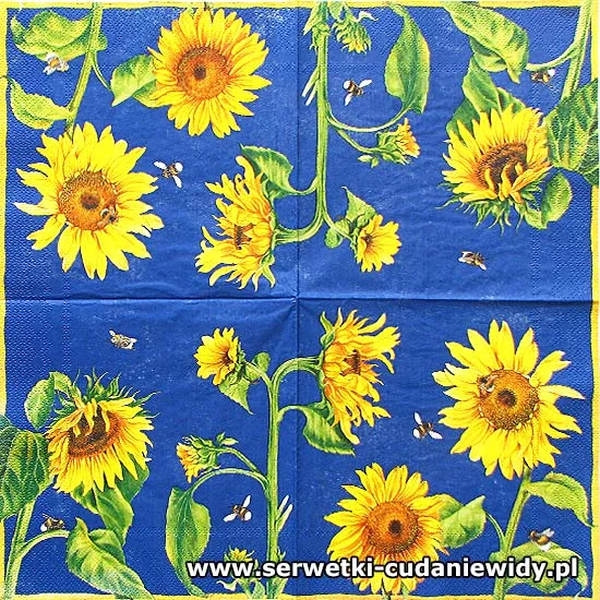65506 Tournesol