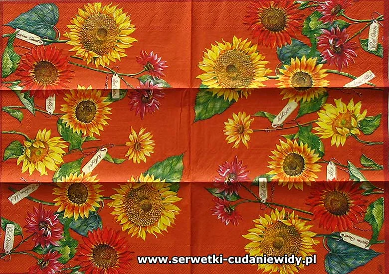 65550 Oryginalny Wzór