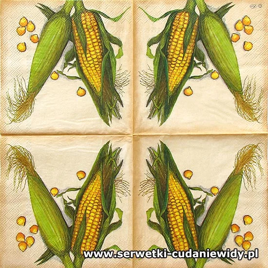 65555 Oryginalny Wzór