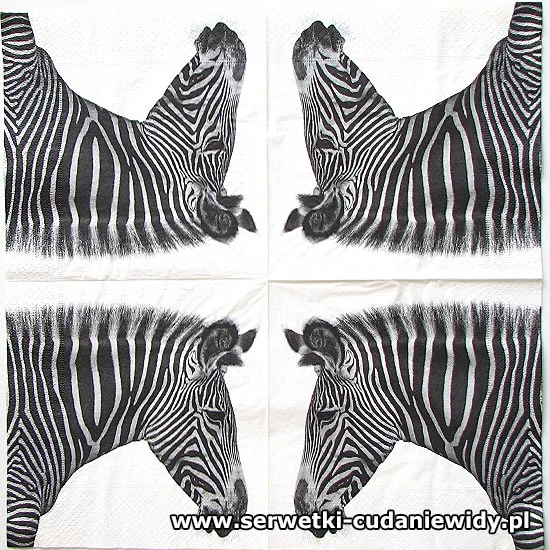 6556 Zebra