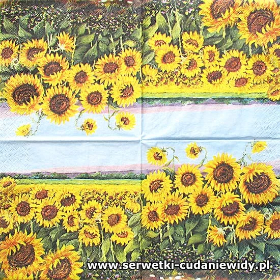 65597 Sunflowers Field
