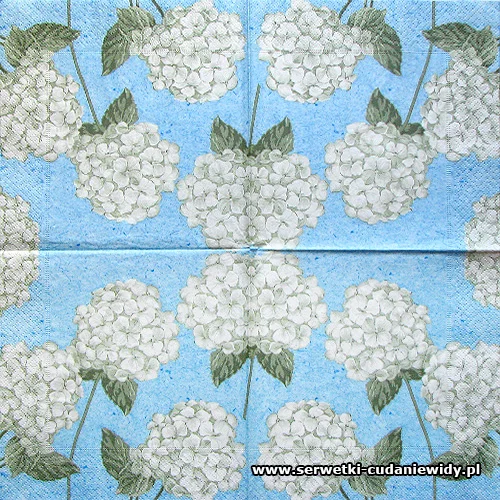 6573 Hortensia On Blue
