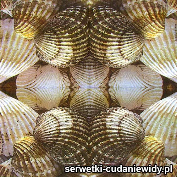 65856 Serwetki Papierowe