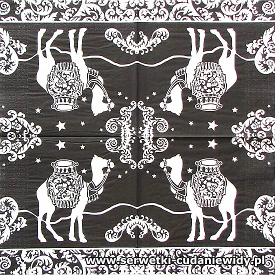66211 Camel White And Black