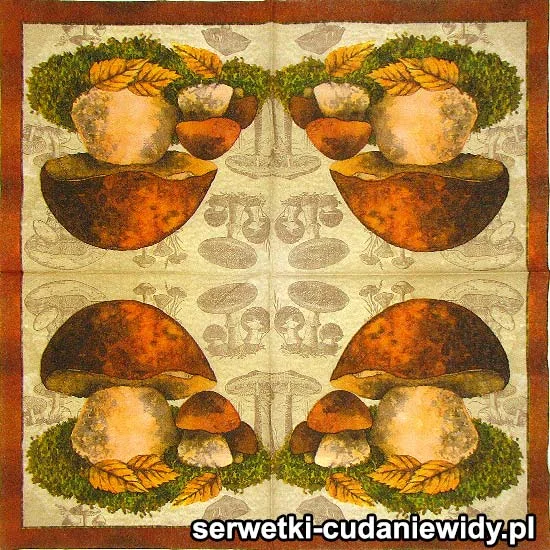 66241 Prawdziwki