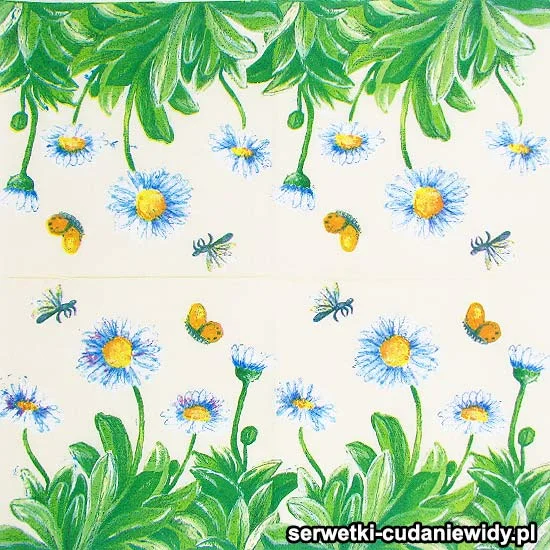 66300 Piękny Wzór