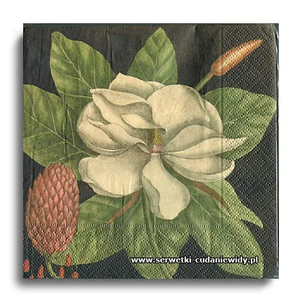 66305PACZKA Vintage Magnolia