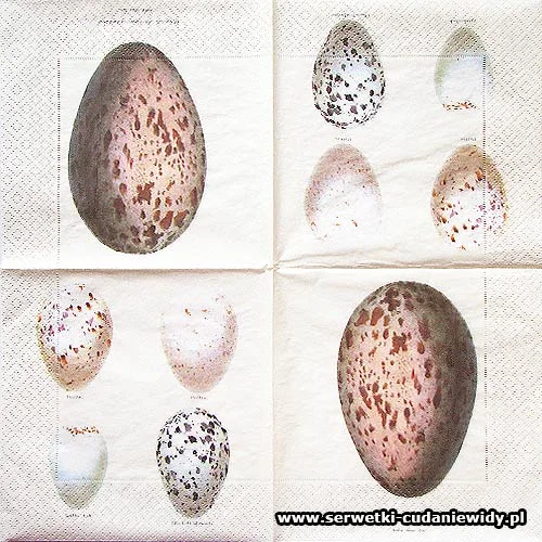 66321 Eggs