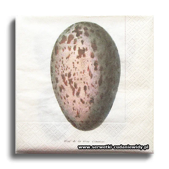 66321PACZKA Eggs