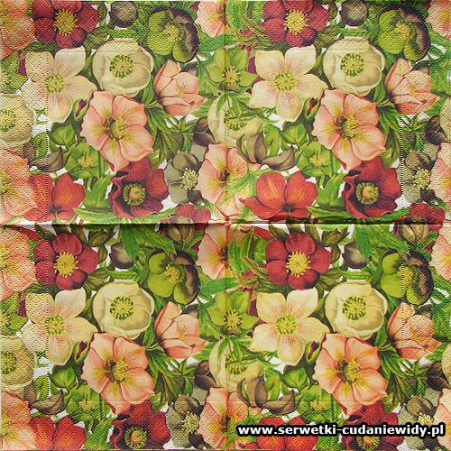 66339 Winter Rose