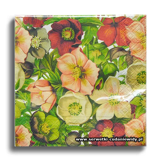 66339PACZKA Winter Rose