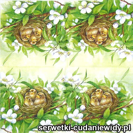 66341 Gniazdo Z Pisklętami