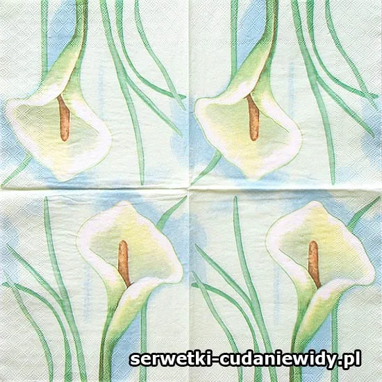 6636 Wzór Archiwalny