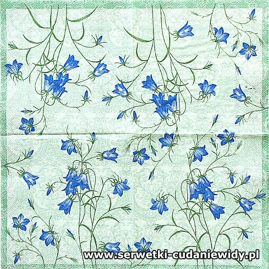 66374 Campanula