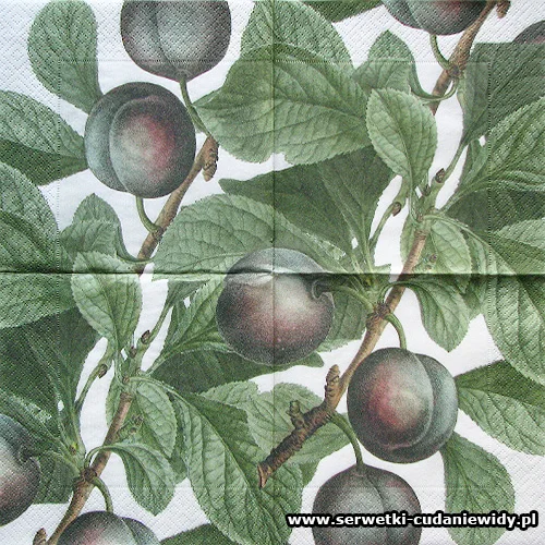 66441 Plum