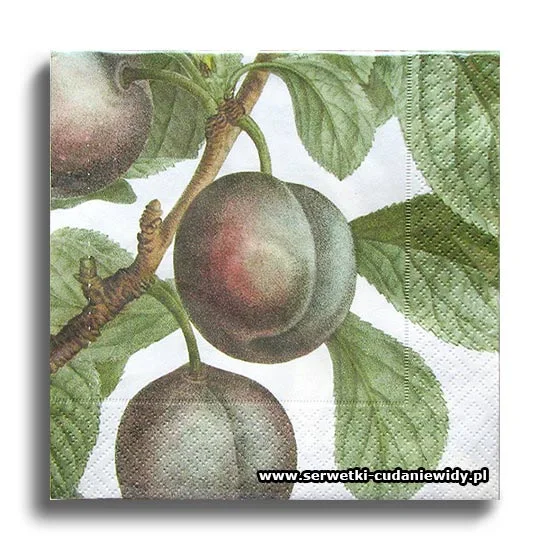 66441PACZKA Plum