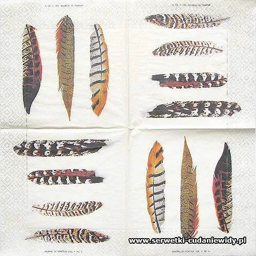 66459 Feathers