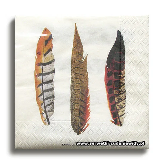 66459PACZKA Vintage Feathers