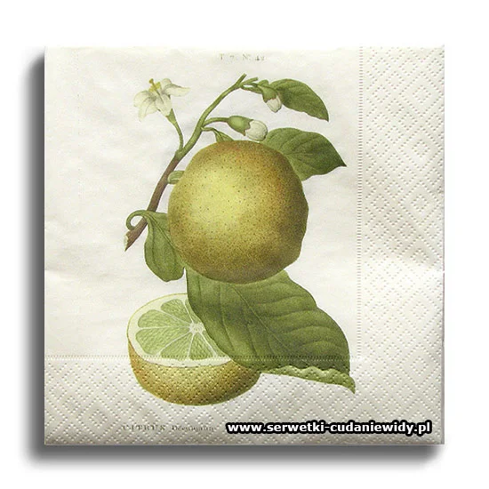 66463PACZKA Vintage Citron