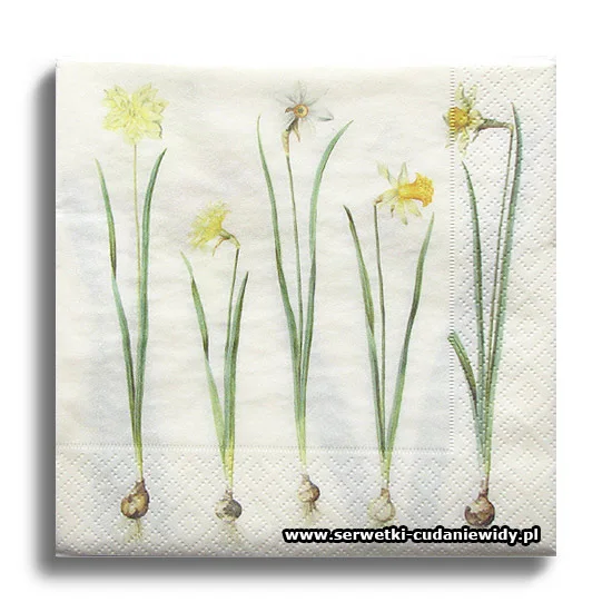 66464PACZKA Vintage Daffodils