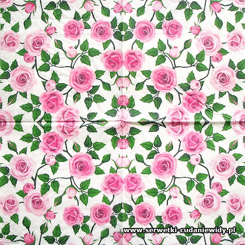 6647 Klangrosor Rosa