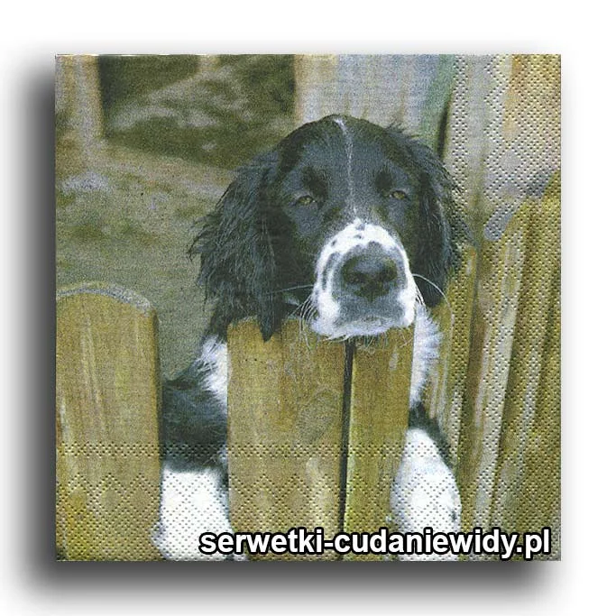 66471PACZKA Pies Stróżujący