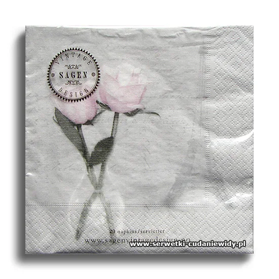 66476PACZKA Roses In Paris