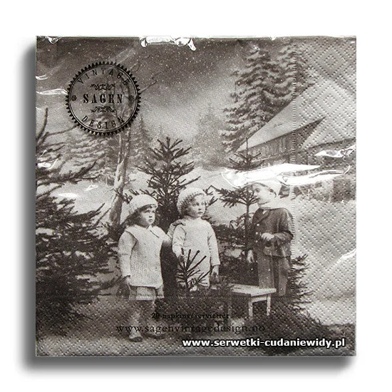 66483PACZKA Winter Children