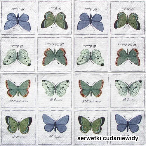 66493 Big Butterflies