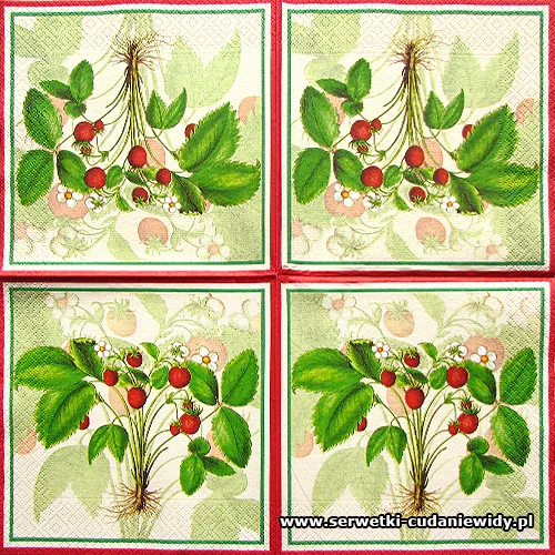 6653 Wild Strawberries
