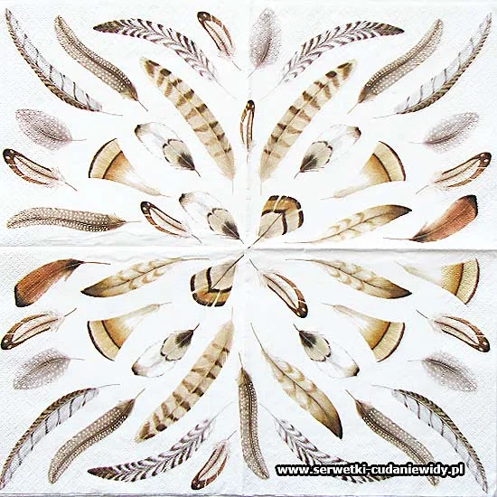 66571 Bird Feathers