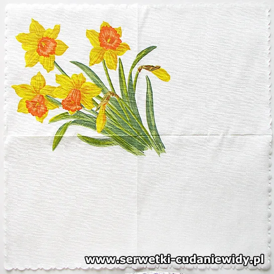 66631 Old Daffodil