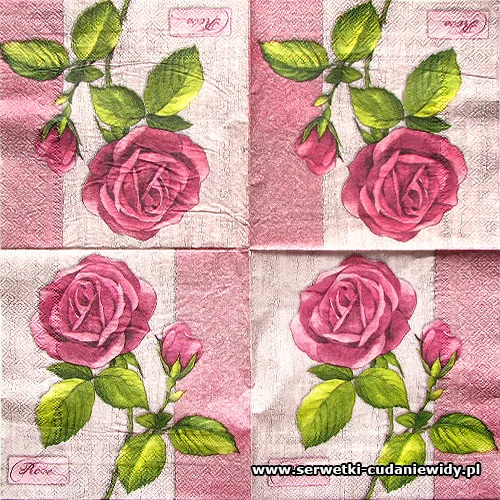 66713 Rose
