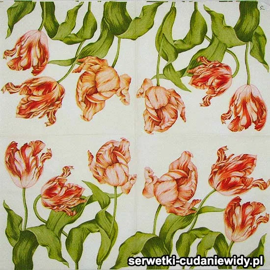 66718 Prawdziwie Polskie Tulipany