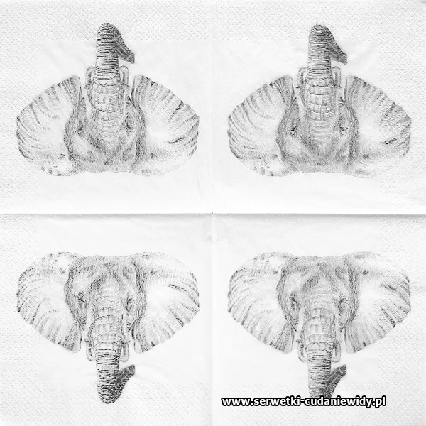 66829 Elephant