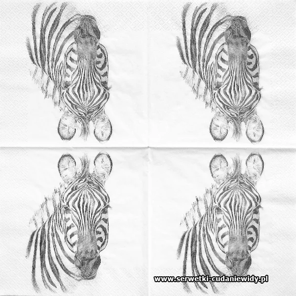 66834 Zebra