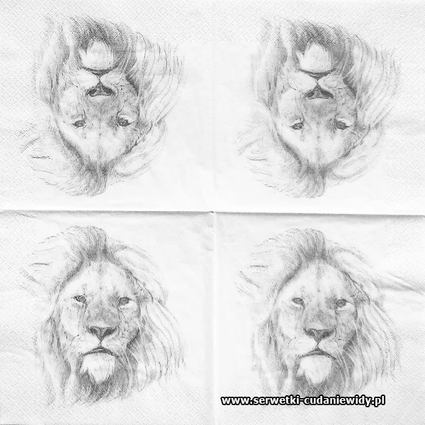 66845 Lion
