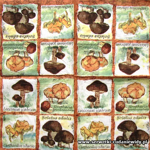 66854 Mushrooms