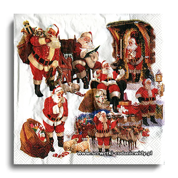 66875PACZKA Winter Collage