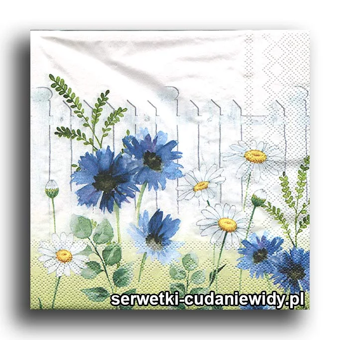 66897PACZKA Chabry I Rumianki
