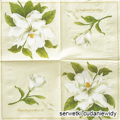 66994 Unikalne Serwetki Papierowe