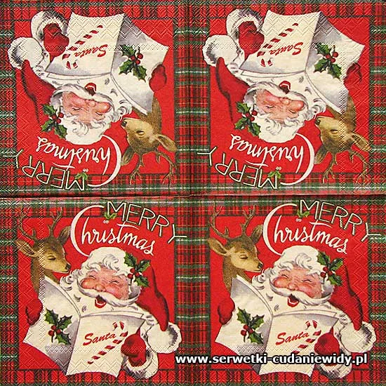 67023 Napkins Homnordic