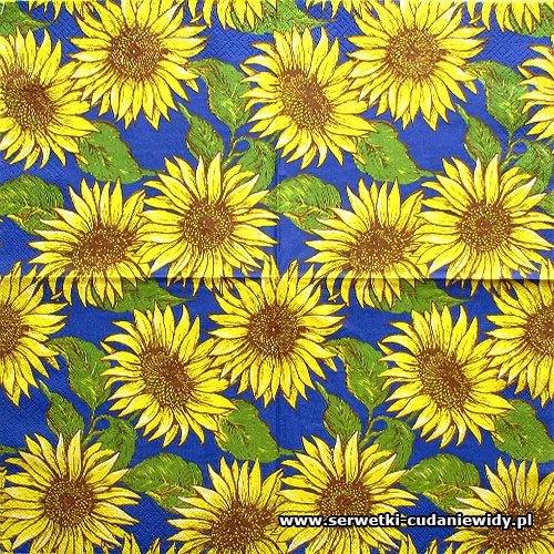 6705 Sunflower