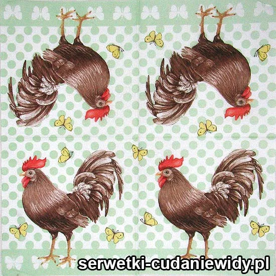 67071 Kogut Stanisław