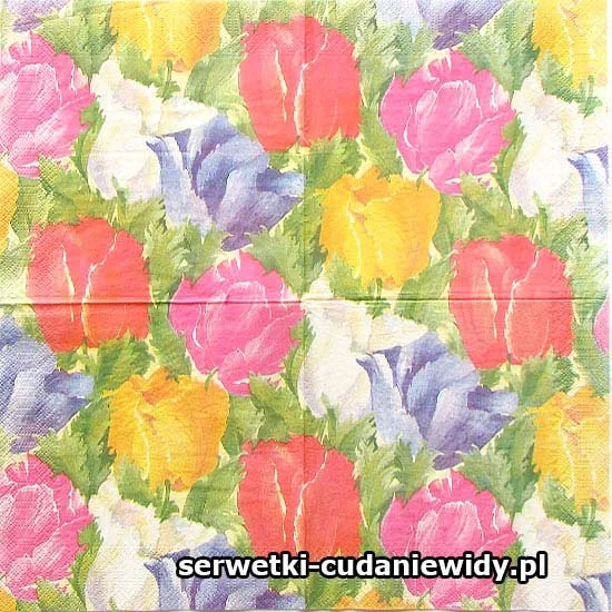 67129 Unikatowy Wzór