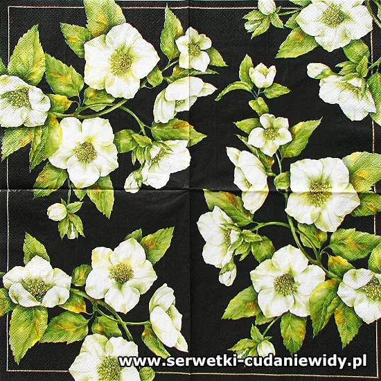 67320 Archiwalny Wzór